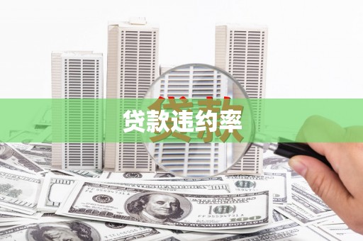 韶关贷款违约率