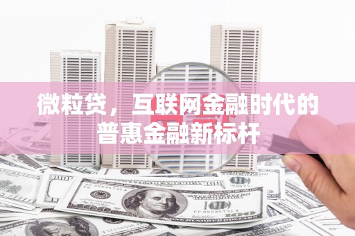 韶关微粒贷，互联网金融时代的普惠金融新标杆