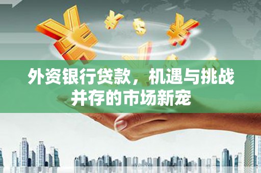 韶关外资银行贷款，机遇与挑战并存的市场新宠