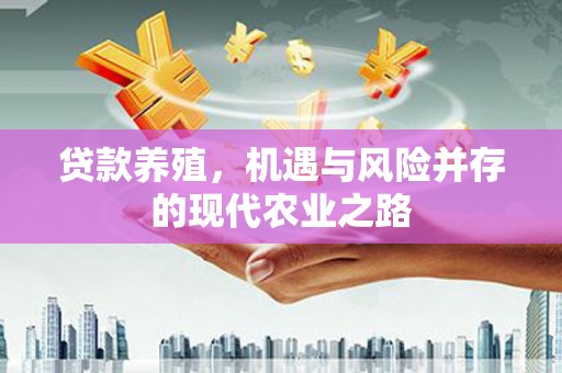 韶关贷款养殖，机遇与风险并存的现代农业之路