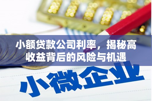 韶关小额贷款公司利率，揭秘高收益背后的风险与机遇