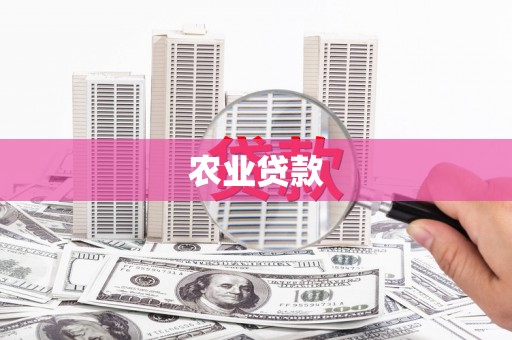 韶关农业贷款