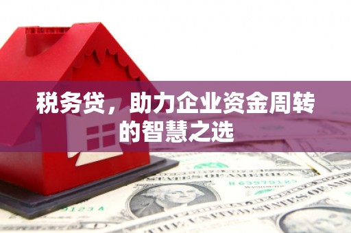 韶关税务贷，助力企业资金周转的智慧之选