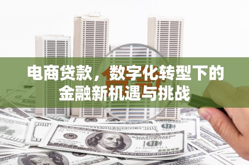 韶关电商贷款，数字化转型下的金融新机遇与挑战