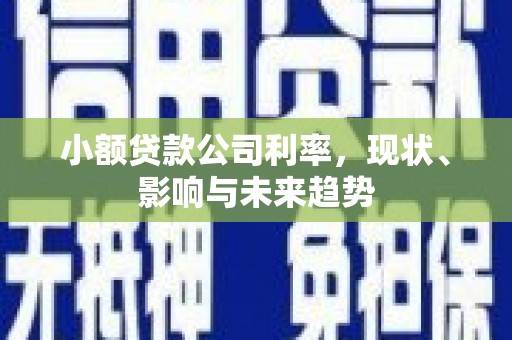 韶关小额贷款公司利率，现状、影响与未来趋势