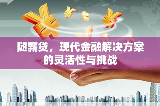 韶关随薪贷，现代金融解决方案的灵活性与挑战