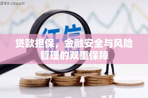 韶关贷款担保，金融安全与风险管理的双重保障