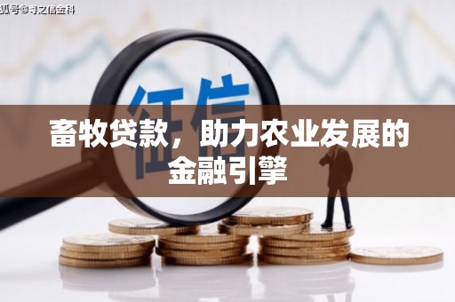 韶关畜牧贷款，助力农业发展的金融引擎