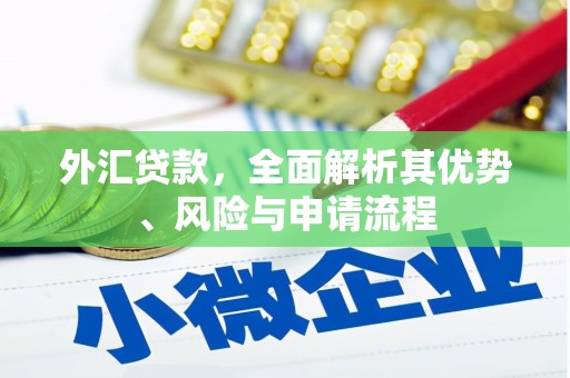 韶关外汇贷款，全面解析其优势、风险与申请流程