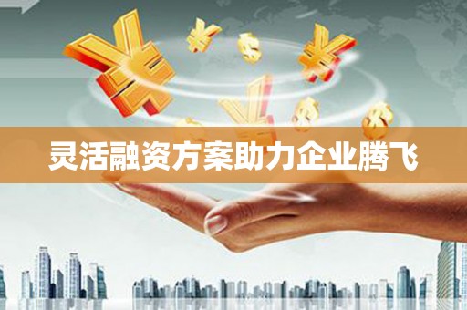 韶关灵活融资方案助力企业腾飞