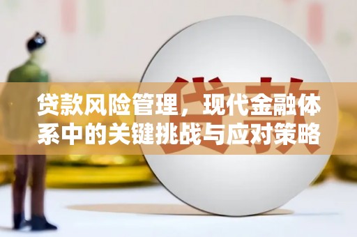 韶关贷款风险管理，现代金融体系中的关键挑战与应对策略