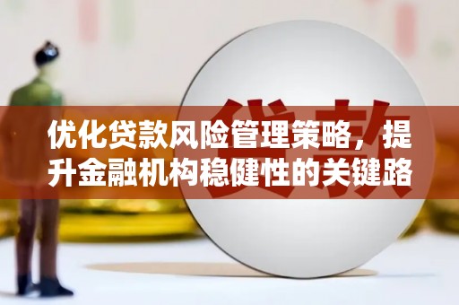 韶关优化贷款风险管理策略，提升金融机构稳健性的关键路径
