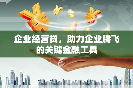韶关企业经营贷，助力企业腾飞的关键金融工具