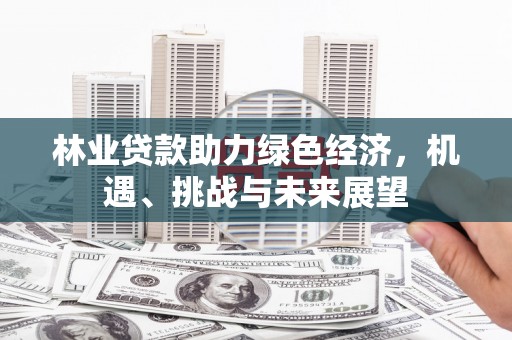 韶关林业贷款助力绿色经济，机遇、挑战与未来展望