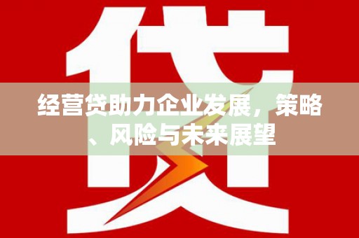 韶关经营贷助力企业发展，策略、风险与未来展望