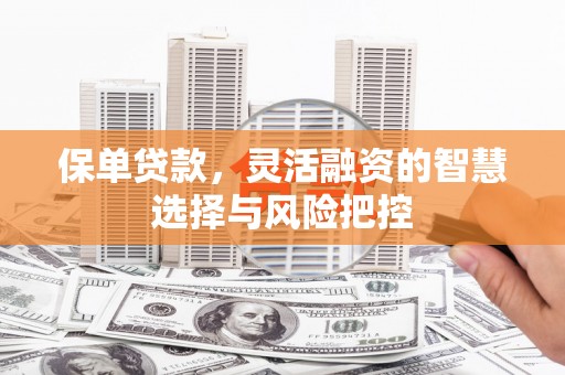 韶关保单贷款，灵活融资的智慧选择与风险把控