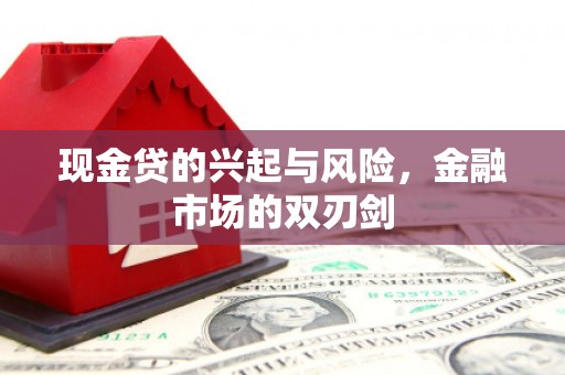 韶关现金贷的兴起与风险，金融市场的双刃剑