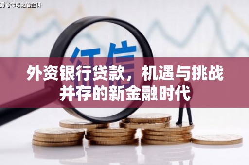 韶关外资银行贷款，机遇与挑战并存的新金融时代