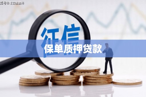 韶关保单质押贷款