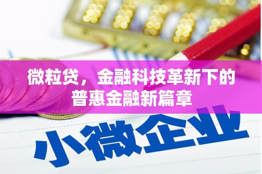 韶关微粒贷，金融科技革新下的普惠金融新篇章