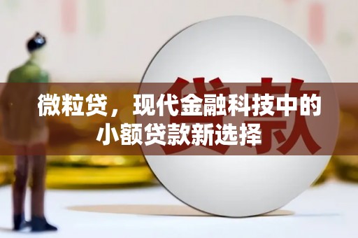 韶关微粒贷，现代金融科技中的小额贷款新选择