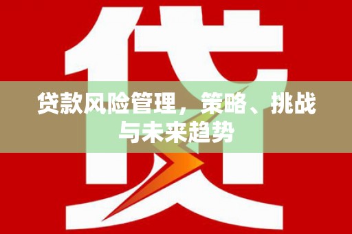 韶关贷款风险管理，策略、挑战与未来趋势
