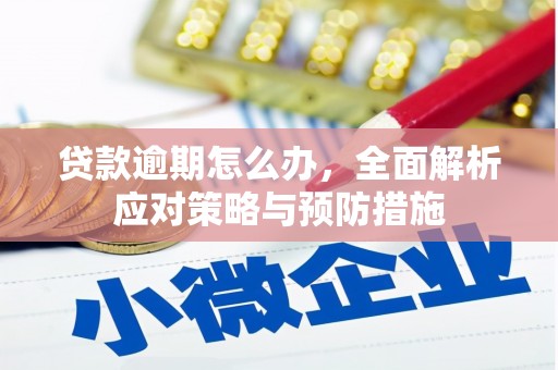 韶关贷款逾期怎么办，全面解析应对策略与预防措施