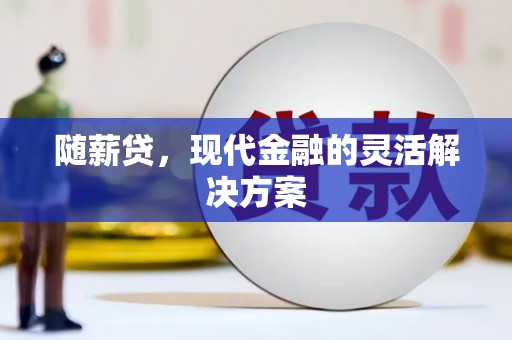 韶关随薪贷，现代金融的灵活解决方案