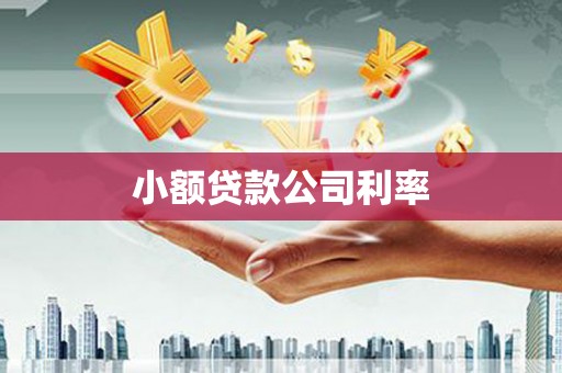 韶关小额贷款公司利率