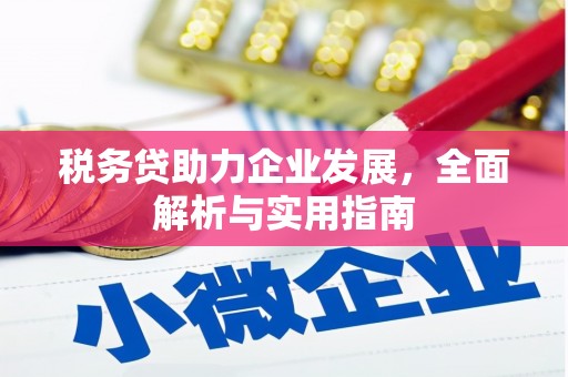 韶关税务贷助力企业发展，全面解析与实用指南