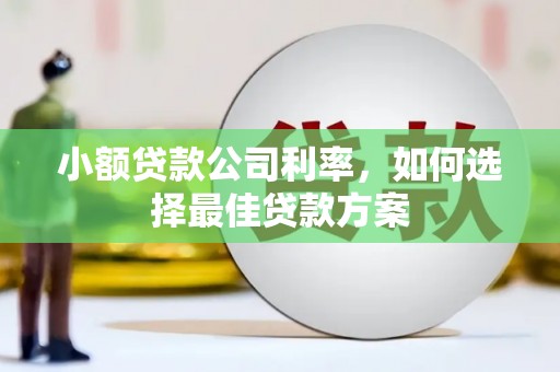 韶关小额贷款公司利率，如何选择最佳贷款方案
