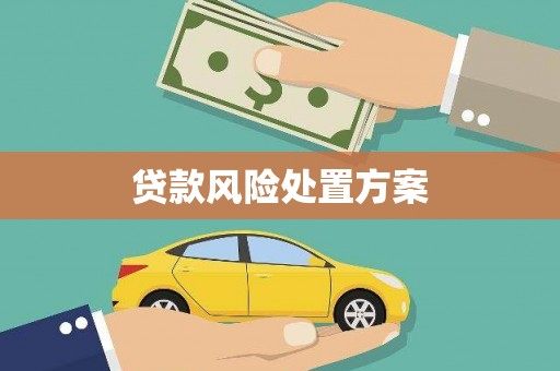 韶关贷款风险处置方案