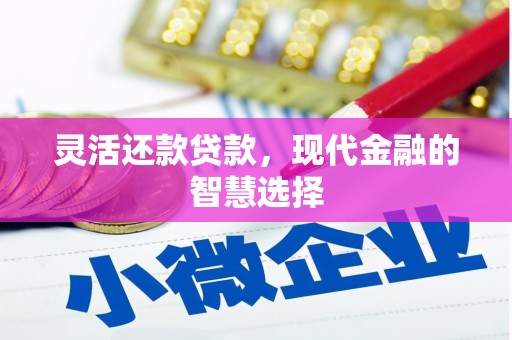 韶关灵活还款贷款，现代金融的智慧选择