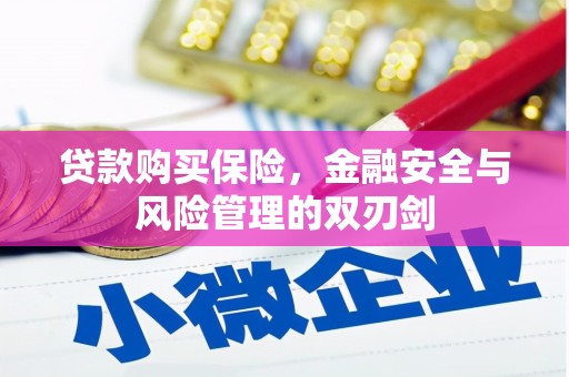 韶关贷款购买保险，金融安全与风险管理的双刃剑