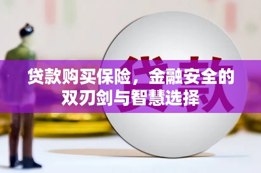 韶关贷款购买保险，金融安全的双刃剑与智慧选择