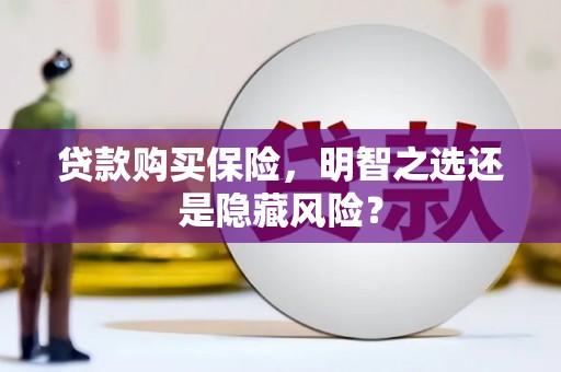 韶关贷款购买保险，明智之选还是隐藏风险？