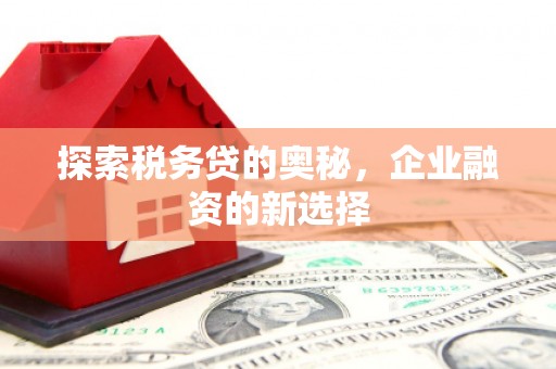 韶关探索税务贷的奥秘，企业融资的新选择