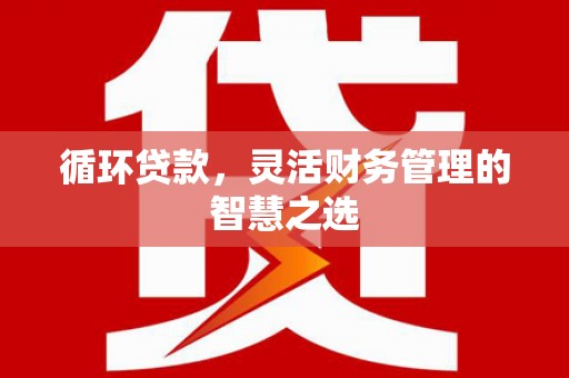 韶关循环贷款，灵活财务管理的智慧之选