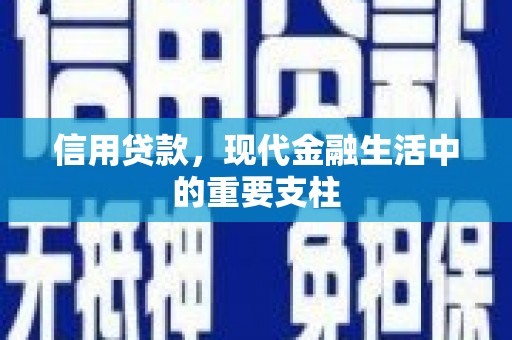 韶关信用贷款，现代金融生活中的重要支柱