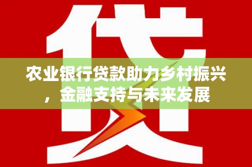 韶关农业银行贷款助力乡村振兴，金融支持与未来发展