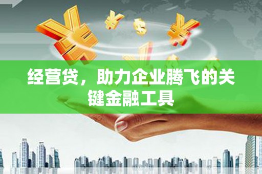 韶关经营贷，助力企业腾飞的关键金融工具
