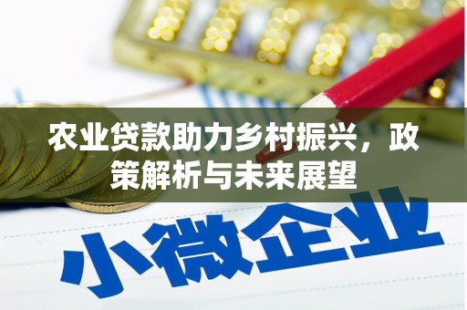 韶关农业贷款助力乡村振兴，政策解析与未来展望