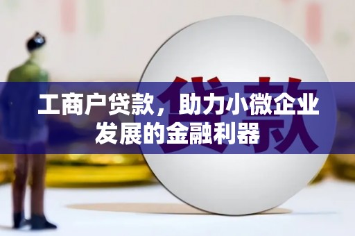 韶关工商户贷款，助力小微企业发展的金融利器