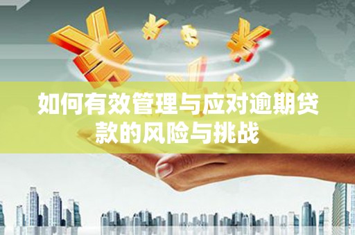 韶关如何有效管理与应对逾期贷款的风险与挑战