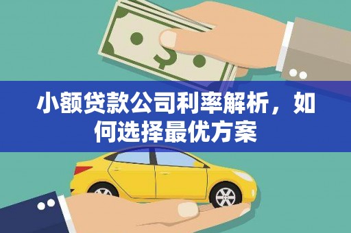 韶关小额贷款公司利率解析，如何选择最优方案