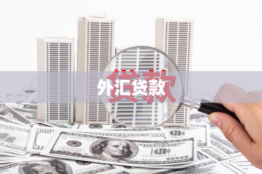 韶关外汇贷款