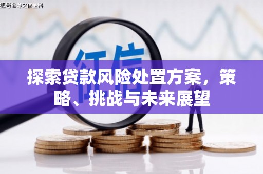 韶关探索贷款风险处置方案，策略、挑战与未来展望
