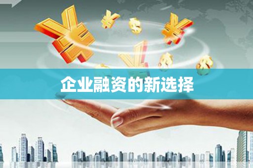 韶关企业融资的新选择