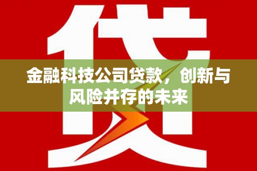 韶关金融科技公司贷款，创新与风险并存的未来