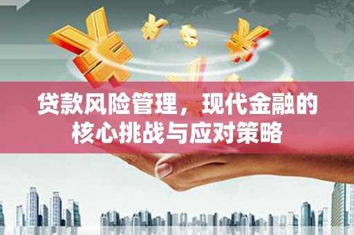 韶关贷款风险管理，现代金融的核心挑战与应对策略